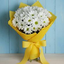 Букет цветов из:  Хризантемы #REPLACE_PRED# Альбурикенте