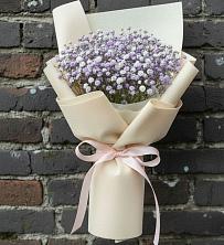 Букет Нежные чувства в Альбурикенте Букет цветов из:  Гипсофила в Альбурикенте
