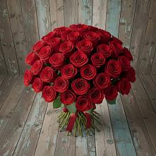 Букет 55 Красных роз Фридом #REPLACE_PRED# Альбурикенте