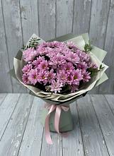 Букет цветов из:  Хризантемы #REPLACE_PRED# Альбурикенте