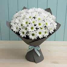 Букет белые хризантемы в Альбурикенте Букет цветов из:  Хризантемы в Альбурикенте