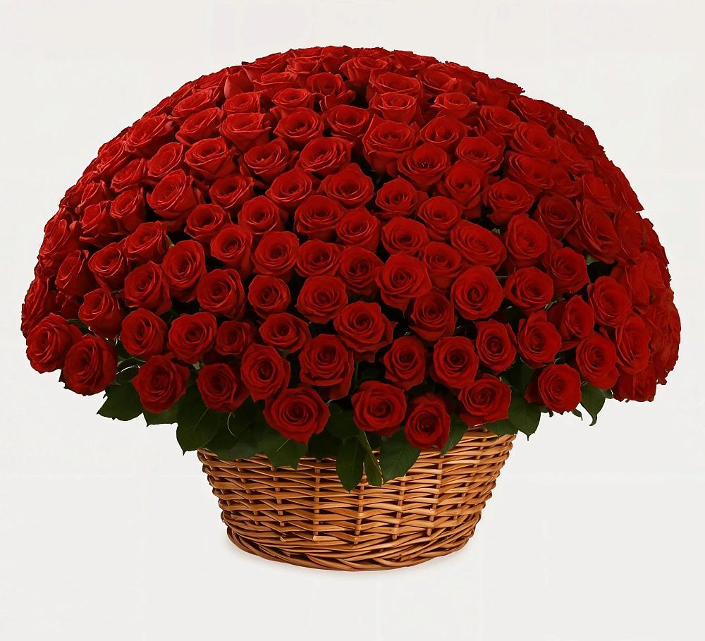 Премиум букет из: Розы в Альбурикенте