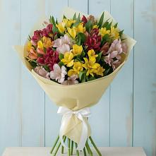 Букет цветов из:  Альстромерии в Альбурикенте