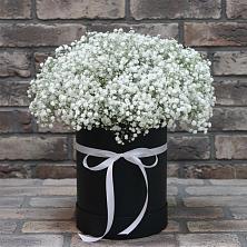 Композиция коробка гипсофил в Альбурикенте Цветочная композиция из Гипсофила в шляпной коробке в Альбурикенте
