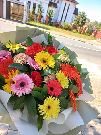 Букет цветов из: Герберы в Альбурикенте